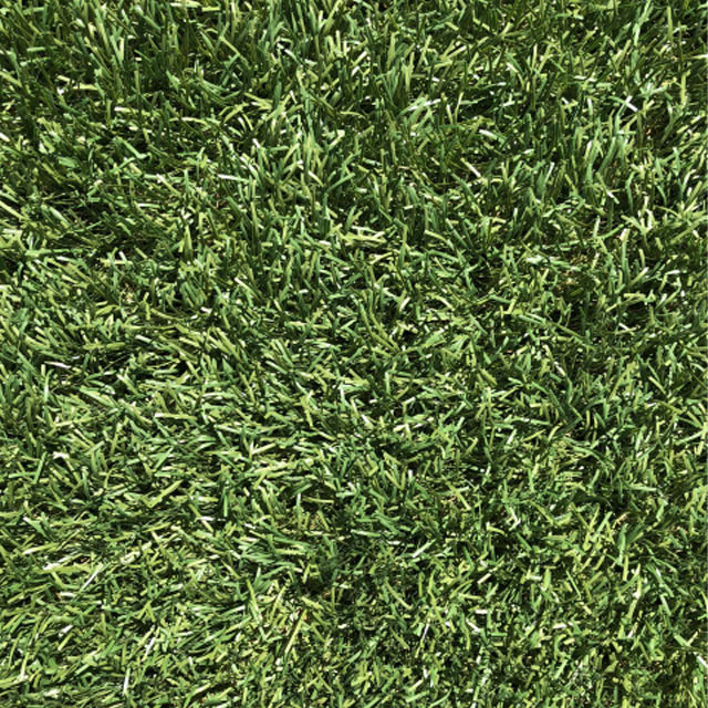 Mulligan Artifical Grass Close Up